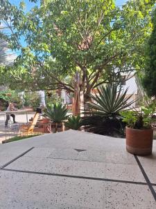 Fotografie z fotogalerie ubytování Casa Babylon v destinaci Medellín
