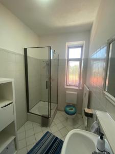 a bathroom with a shower and a sink and a toilet at Wunderschönes Appartement Nahe der Berge in Bruckmühl