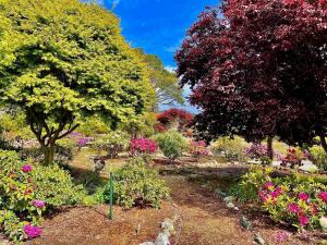 Φωτογραφία από το άλμπουμ του Sea Esta σε Fort Bragg