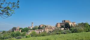 a castle on top of a hill with trees at Casa evelina in Santarcangelo di Romagna
