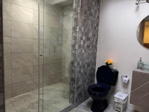 a bathroom with a shower with a blue toilet at Garden's Aparta hotel in Bogotá