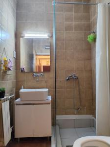 un bagno con lavandino e doccia di Station Apartment Skopje a Skopje