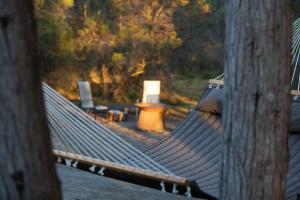 a hammock in a park with a bench and trees at Island Alive Guest House in Pelican Lagoon +15 photos