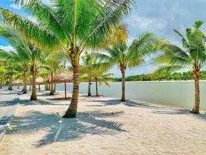 a group of palm trees on a beach with water at EcoVinhomes Grand Park in Long Bình