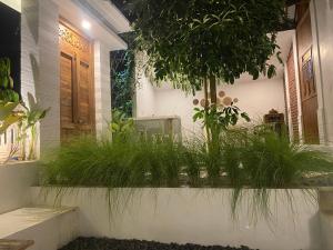 Κήπος έξω από το Griyo Antik Villa +8 φωτογραφίες