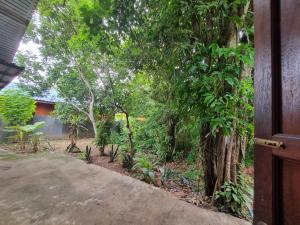 an entrance to a house with a tree at Cheeva Lodge ชีวาลอดจ์ in Kampong Huaibū