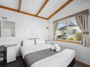 a bedroom with a large bed and a window at Southside Village in Canberra