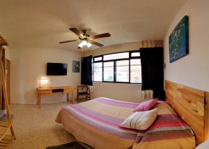 a bedroom with a bed and a ceiling fan at Luz Casa de Huespedes in Oaxaca City