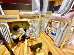 Hosté ubytování 角島シェア&ゲストハウスSumikkoオーシャンビューの犬がいるゲストハウスで特別な交流体験個室とドミトリー
