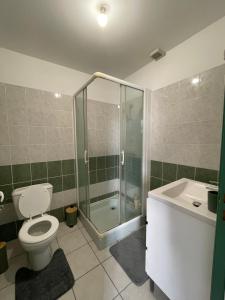 a bathroom with a toilet and a shower and a sink at Appartement moderne centre ville in Saint-Dizier