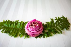 Fotografie z fotogalerie ubytování Kingdom Angkor Hotel v Siem Reap
