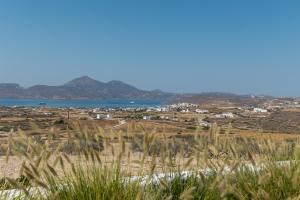 Paesaggio naturale nelle vicinanze della casa vacanze