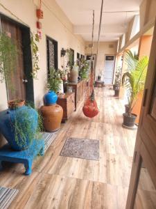 a hallway filled with lots of potted plants at Dream Vision Guest House in Diu