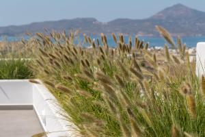 Paesaggio naturale nelle vicinanze della casa vacanze