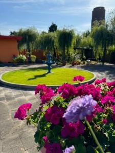 Zahrada ubytování Villa Le Jardin