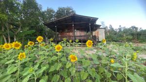 Zahrada ubytování Nokkamin Home Chiang Dao