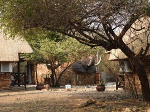 a statue of an elephant on the side of a building at Elephant Memories in Marloth Park +27 photos