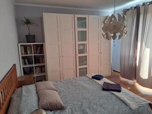sypialnia z dużym łóżkiem i półką na książki w obiekcie Comfortable Apartment close to Spodek w mieście Katowice