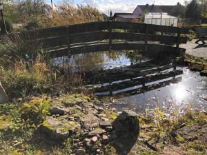 a wooden bridge over a pond with a bench at Ferienwohnung Zum Eduardstal in Reisenbach