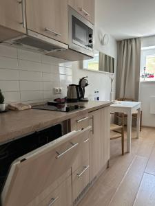 Nhà bếp/bếp nhỏ tại Nidos Palvė Ground Zero