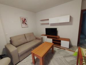 TV a/nebo společenská místnost v ubytování Apartamentos Séneca junto al Centro