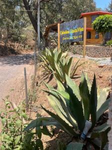 Foto dalla galleria di Linda Vista 5 a Mazamitla