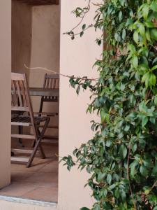 Villedieuにあるmaison sans soucisの建物の隣にある椅子と植物 +2枚の写真