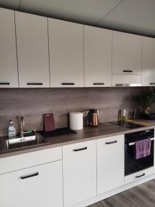 a kitchen with white cabinets and a sink at River Apartment in Līči