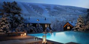 萨伦Lindvallen Ski In Söderåstorget的一座游泳池,里面的人有雪覆盖的山