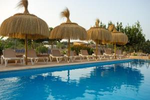 Basen w obiekcie Agroturismo Ses Illes lub w pobliżu
