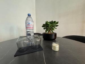 a bottle of water sitting on a table with a plant at Appartement au rez-de-chaussée en vieille ville de Porrentruy in Porrentruy