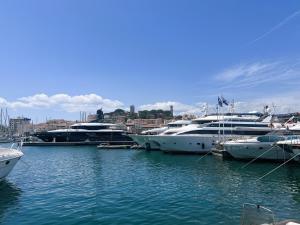 a group of boats docked in a harbor at Luxury Cannes in Cannes +25 photos