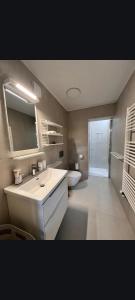 a bathroom with a sink and a toilet and a mirror at Up and above in Kobarid