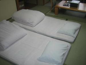 三好市阿瓦诺索日式旅馆的相册照片