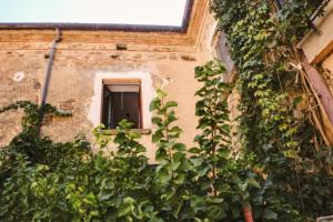 a building with a window and some plants at Blu di Prussia in Laureana Cilento