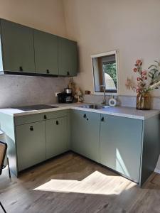 WestergeestにあるTiny House De Klysterのキッチン(緑のキャビネット、シンク付) +19枚の写真