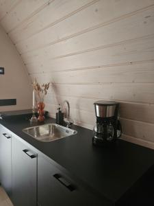 a kitchen counter with a sink and a blender at Tiny House De Kwekfink in Westergeest