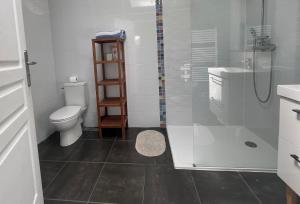 a white bathroom with a shower and a toilet at Ty Coogee in Herbignac