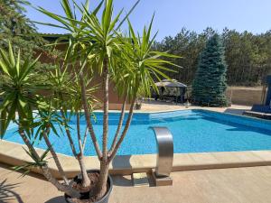 a swimming pool with two palm trees next to it at Pino - Villa, Casa, Cucina е Terrazza in Albena