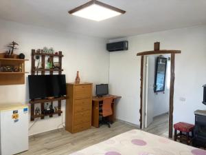 a room with a television and a desk with a computer at Gogo’s house in Mangalia +5 photos