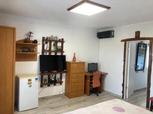 a room with a refrigerator and a desk with a television at Gogo’s house in Mangalia