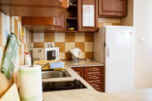 eine kleine Küche mit Spüle und Kühlschrank in der Unterkunft Willa Dziubas II in Zakopane