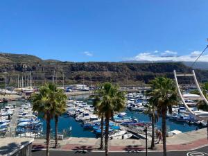 a bunch of boats in a marina with palm trees at Apartamento Puerto Tazacorte in Puerto de Tazacorte