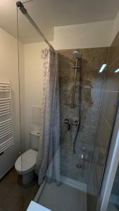 a bathroom with a shower with a toilet and a sink at Élégance Parisienne in Villemomble