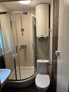 a bathroom with a shower and a toilet and a sink at Domki Winnica Maria Anna in Wyżne