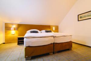 Postel nebo postele na pokoji v ubytování Hotel SKI