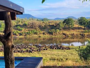 Simbini Sunset Cottage في ماليلين: قطيع من الحيوانات ترعى بجوار جسم من المياه