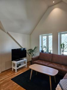 TV a/nebo společenská místnost v ubytování Modern apartment in city center
