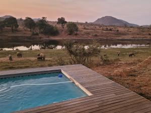 Simbini Sunset Cottage في ماليلين: حمام سباحة على سطح السفينة مع وجود أفيال في الخلفية