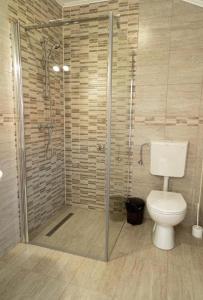 a bathroom with a toilet and a glass shower at CASA ALEXANDRA in Galeş